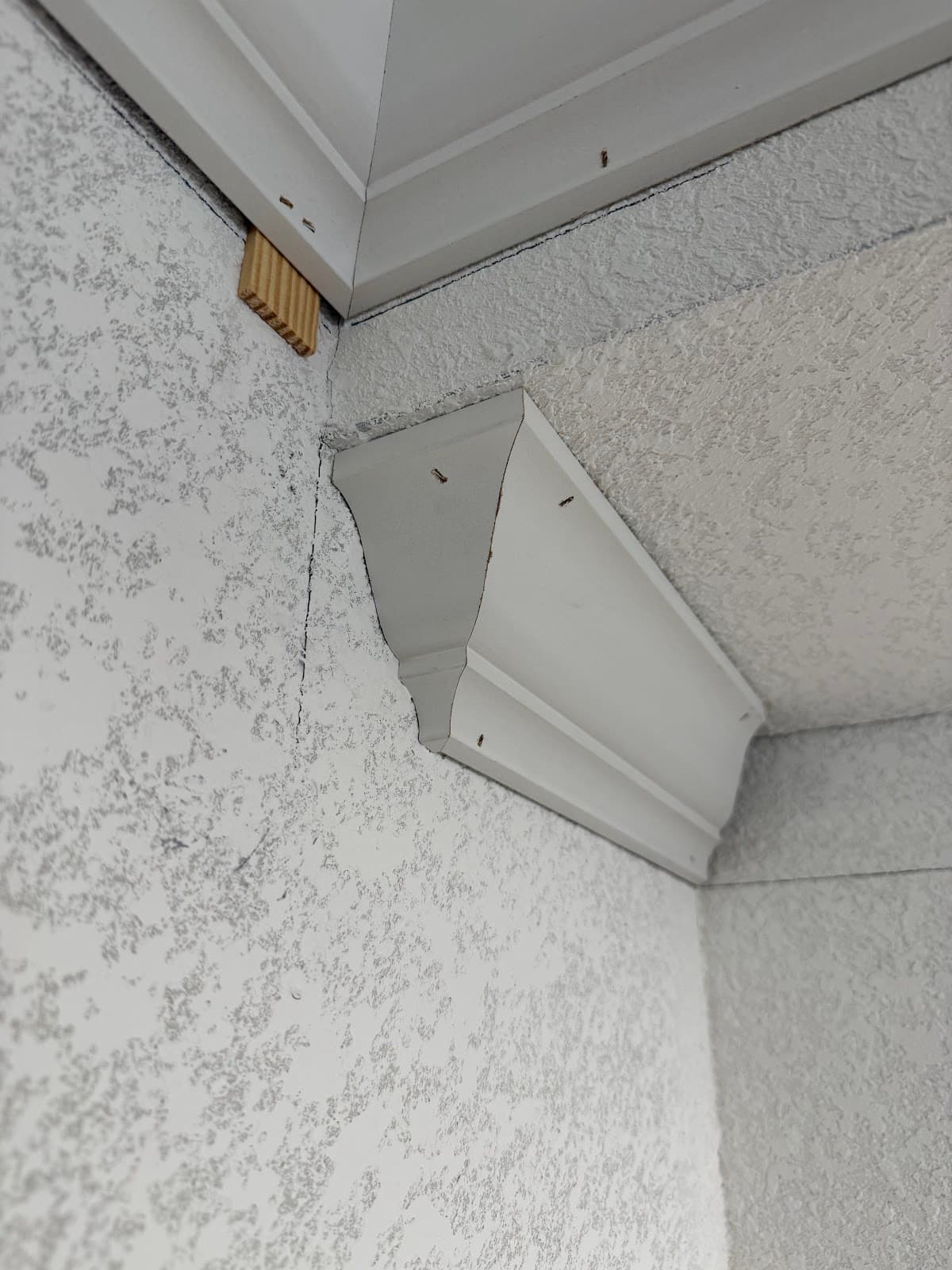 Custom crown molding and finish trim carpentry by Devon's HomePro in Spring Hill, FL